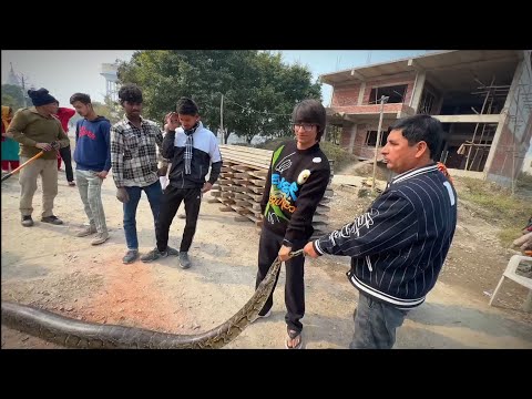 इतना बड़ा सांप 😱    #souravjoshivlogs #souravjoshifunny #video #vlog views 1.8m 