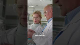 The DNA network and Israel