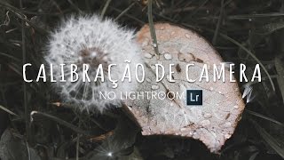 Calibração de Camera