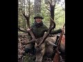 Red Stag hunting "Metsapoole" S2E5