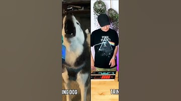 Thumbnail of Wooow dog singing#remix #short#top@TRINIX