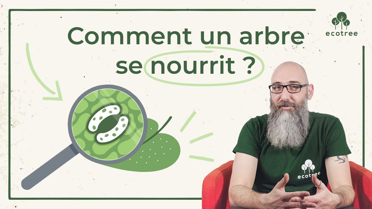 monter votre vidéo pour les réseaux sociaux