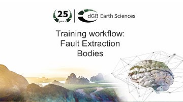 Training workflow: Fault Extraction - Bodies