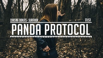 Chasing Donuts - Survivor