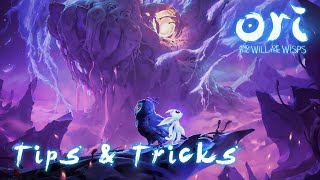 Starter tips you should know - Ori and the Will of the Wisps