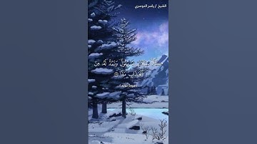 سورة مريم ( ٧٧ - ٨٠)/ ياسر الدوسري