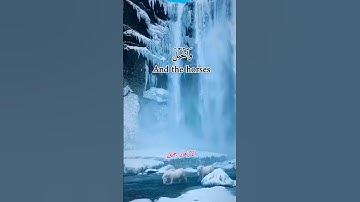 وَٱلۡخَيۡلَ وَٱلۡبِغَالَ القرئ ماجد العويري #قران_تلاوة #الازهار_جميل