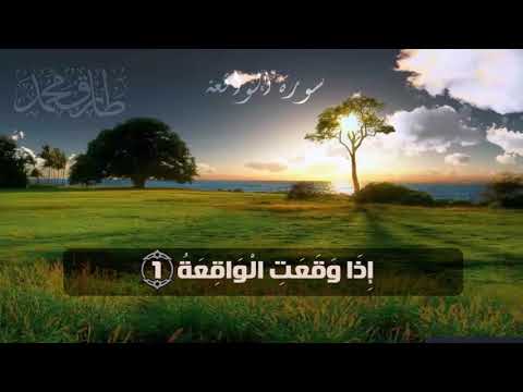 Beautiful Recitation Of Surah Al Waqiah By Tareq Mohammad