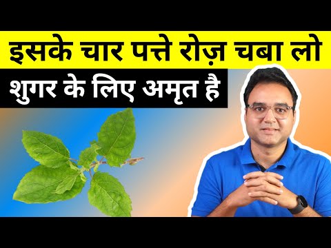 वीडियो: कुत्ते मधुमेह का पता कैसे लगाते हैं? नई रिसर्च का जवाब हो सकता है