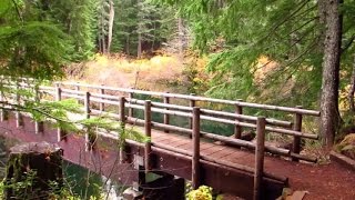 Virtual Hike 2 Hrs Around A Mountain Lake Forest Lava Beds