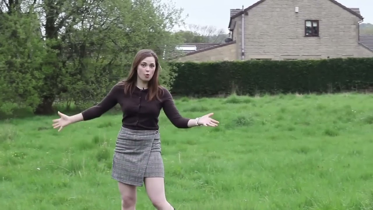 Professional Presenter IN REVERSE