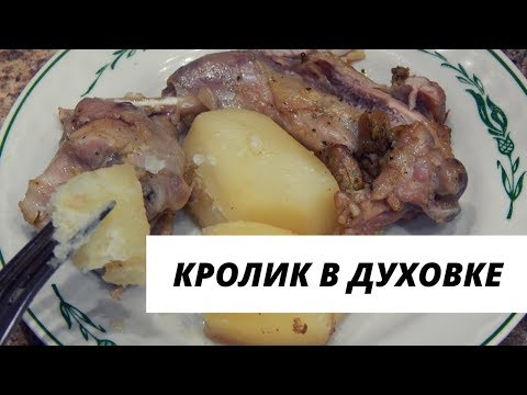 что можно приготовить из кролика быстро и вкусно в духовке