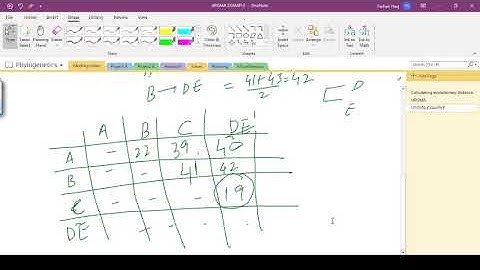 Basics of Phylogenetics - How UPGMA and Neighbor Joining trees are generated?