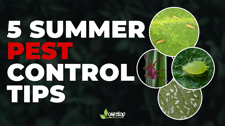 5 Ways to Control Pests on Your Plants