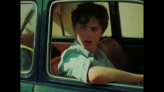 Timothée Chalamet