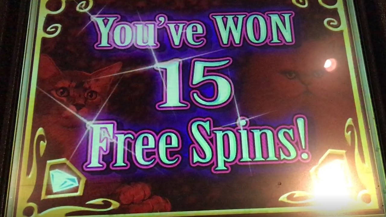Kitty Glitter Slot Machine High Limit Huge Jackpot Handpay Big Win Bonus Free Spins Youtube