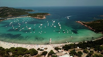 Impact of anchors on Posidonia meadows