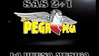 Video thumbnail of "GRUPO PEGASSO CON FREDMAN MUÑEQUITA"