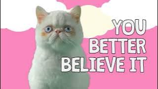 Krazy Kitty - From Air Bud TV - (Re-uploaded)