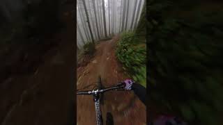 Trail Bike VS North Shore