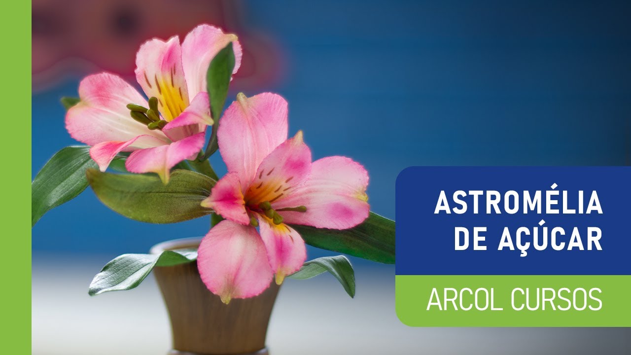 Aprenda a fazer flor Astromélia de açúcar - thptnganamst.edu.vn