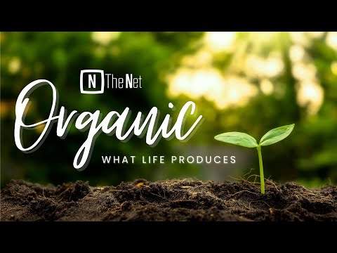 Organic - The Life Connection