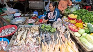 Cambodian Food Market Scenes - People Daily Lifestyle & Various Food Market View