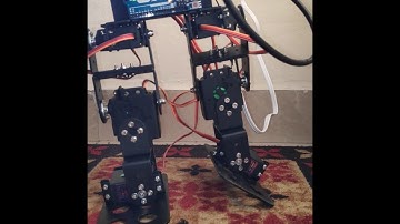 Biped Walking Robot - Project assignment for Skyfi Labs online course