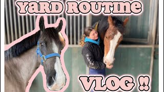 Yard routine / Vlog