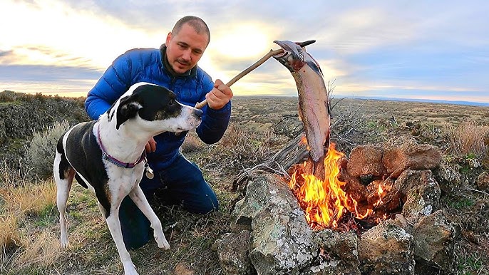 SOLO Mountain SURVIVAL with my Dog!!! No Food, No Water! Fishing & Foraging