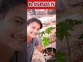 Super fruit farming  ka overseas tv