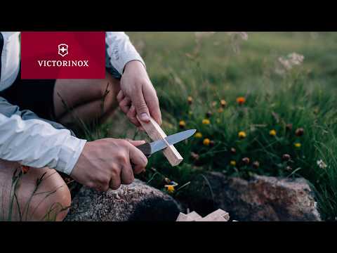 A Night Beyond the Trail | The Alpinists in the Swiss Mountains