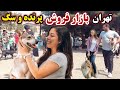 Iran  tehran tales from streets to pet shop marvels a journey through irans capital