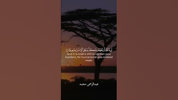 والله يريد ان يتوب عليكم #quran #القرآن_الكريم #قرآن #قران_كريم #عبدالرحمن_مكرم #سورة_النساء