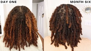 A Visual Timeline of My 6-Month Loc Journey | Loc Evolution | 75 Comb coil Locs