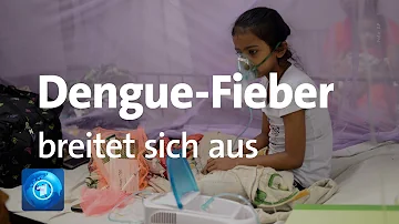 Wie gefährlich ist Dengue-Fieber für Kinder?