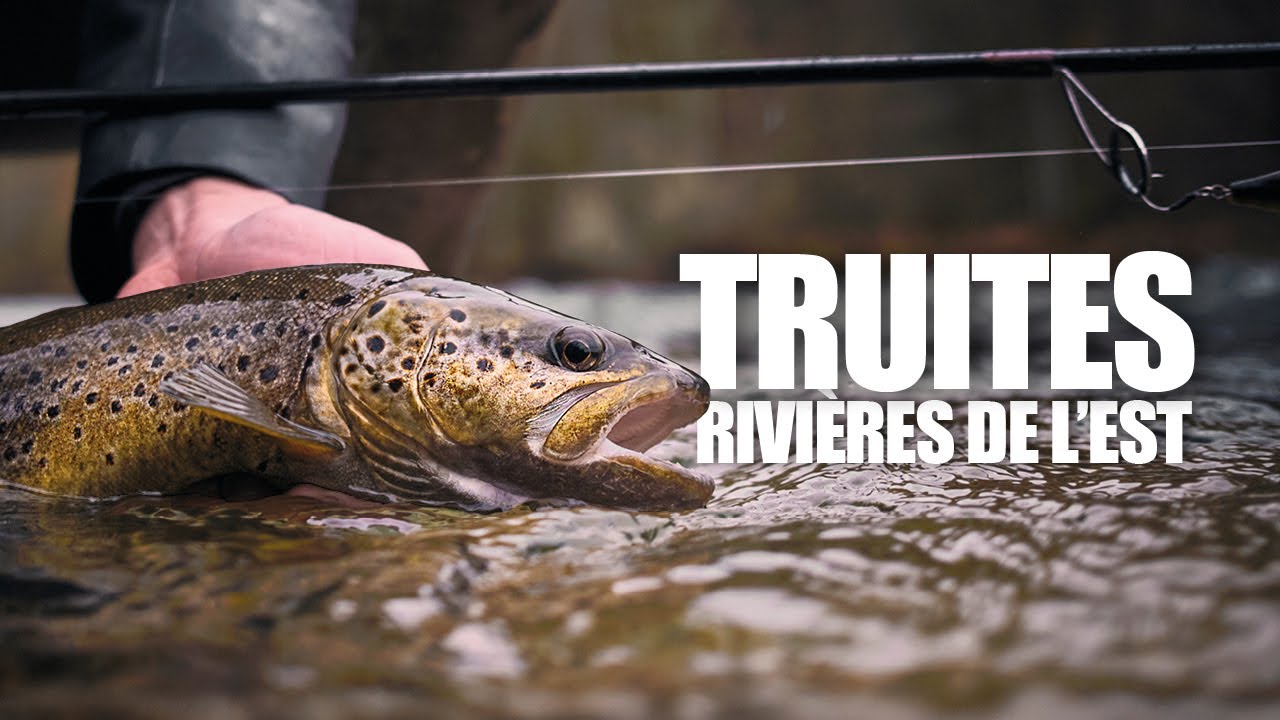 Pêche de la TRUITE : les rivières de l'Est