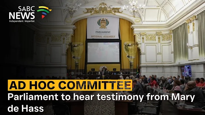 Ad Hoc Committee | Parliament to hear testimony from Mary de Hass