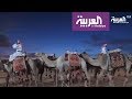 مهرجان ناركم حية يجسد حياة البادية والصحراء