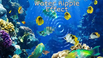 Water Ripple Effect Using Html5 and Jquery Plugin in Hindi