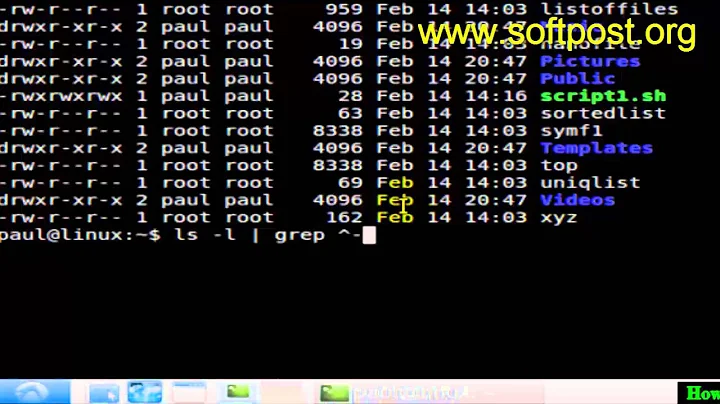 How to list only files in Bash