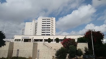 محمد ايوب سورة الزخرف