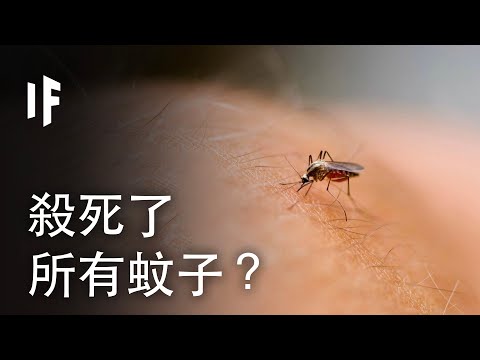 如果我們殺死了所有蚊子？| 大膽科學