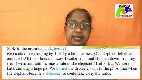 IV STD English Chapter 7. Sindbad the Sailor (Part I)