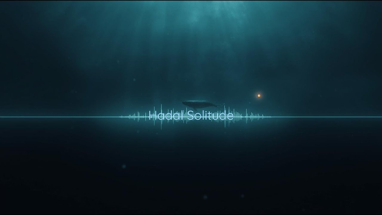 Hadal Solitude