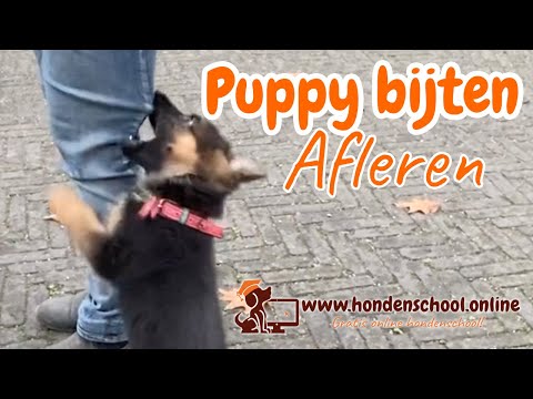 Video: Normale puppy-gewichtstoename voor de eerste weken