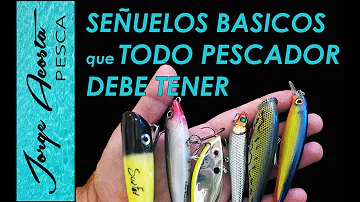 ¿Cuál es el señuelo de pesca número uno del mundo?