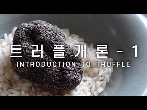 트러플 개론 [전공필수-CFR1021] 1 - 개요, 역사, 재배, 종류, 가격