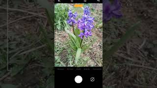 iNaturalist tutorial 4: Add observations of cultivated plants or captive animals using your camera screenshot 3