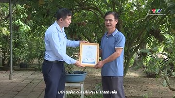 Sản xuất rau, củ, quả theo tiêu chuẩn VietGap